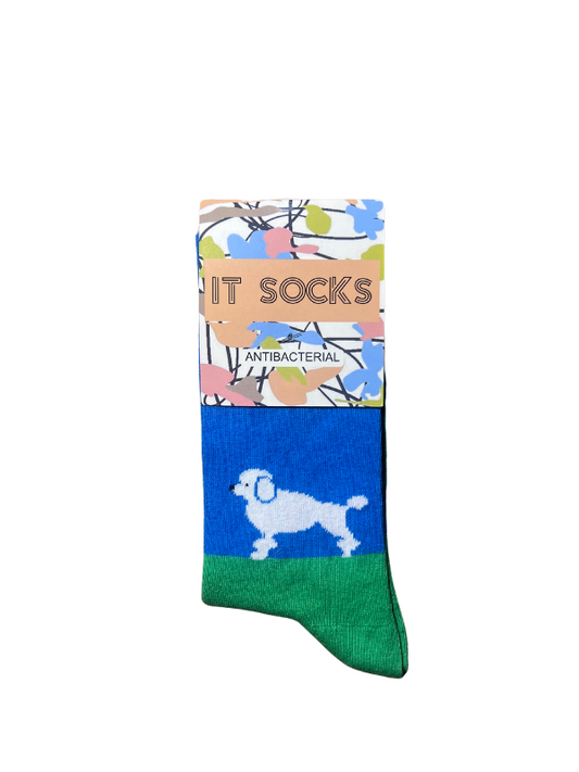 Blue-green socks with dog pattern